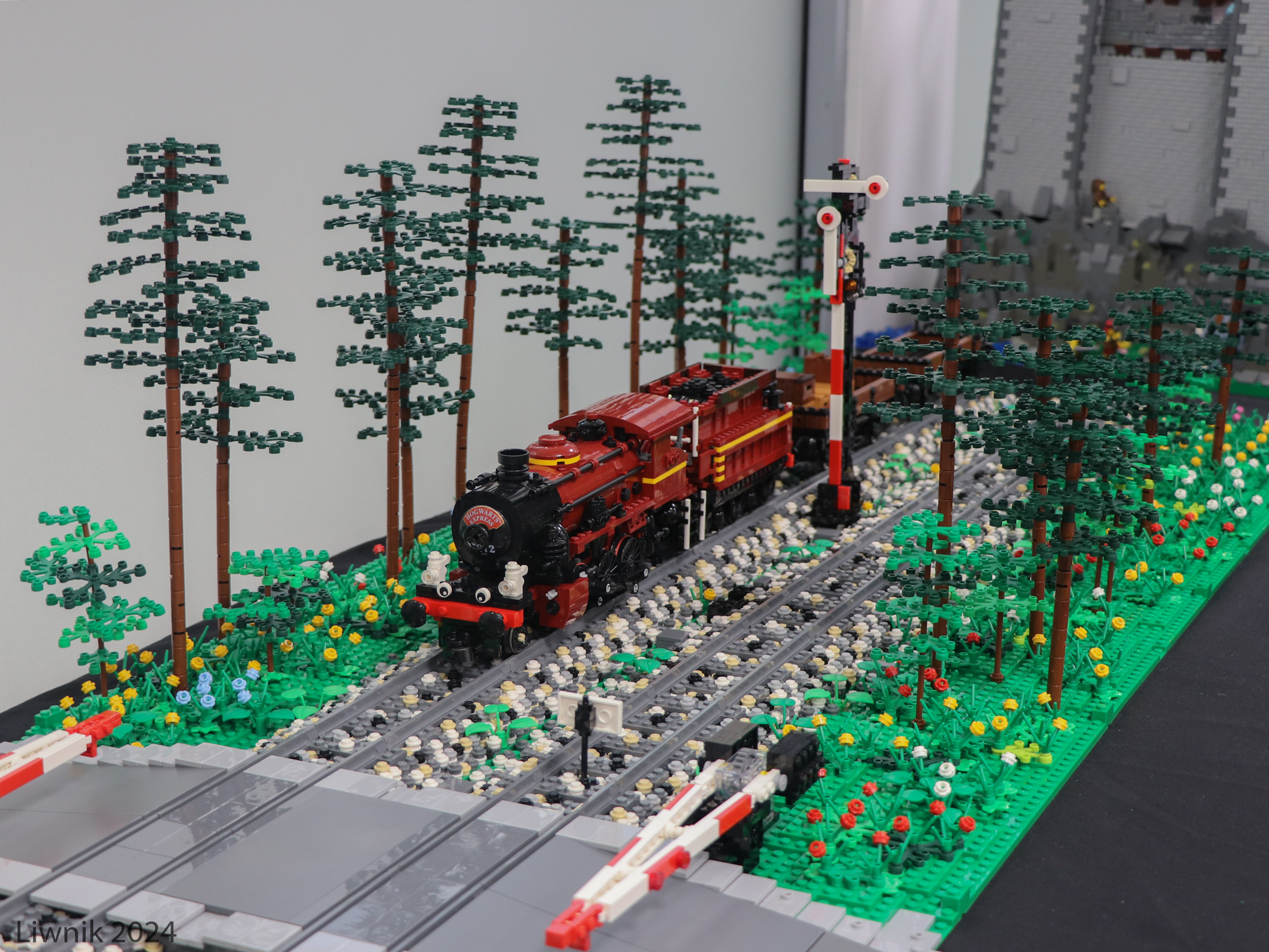tr2-img_4273cs.jpg