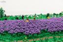 d-1-img_9937cs.jpg