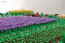d-1-img_9938cs.jpg