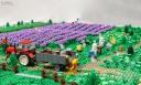 d-1-img_9961cs.jpg