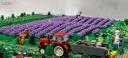d-1-img_9965cs.jpg