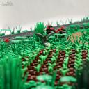 d-2-img_0015cs.jpg