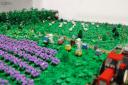 d-2-img_0081cs.jpg