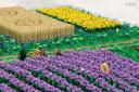 d-2-img_0108cs.jpg