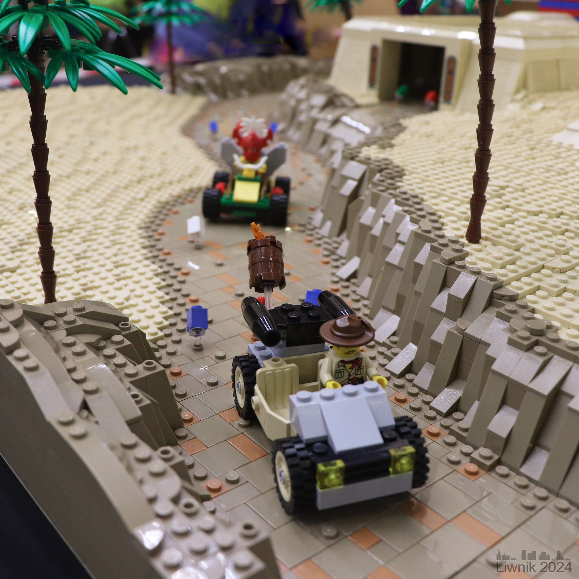 007-img_2786cs.jpg