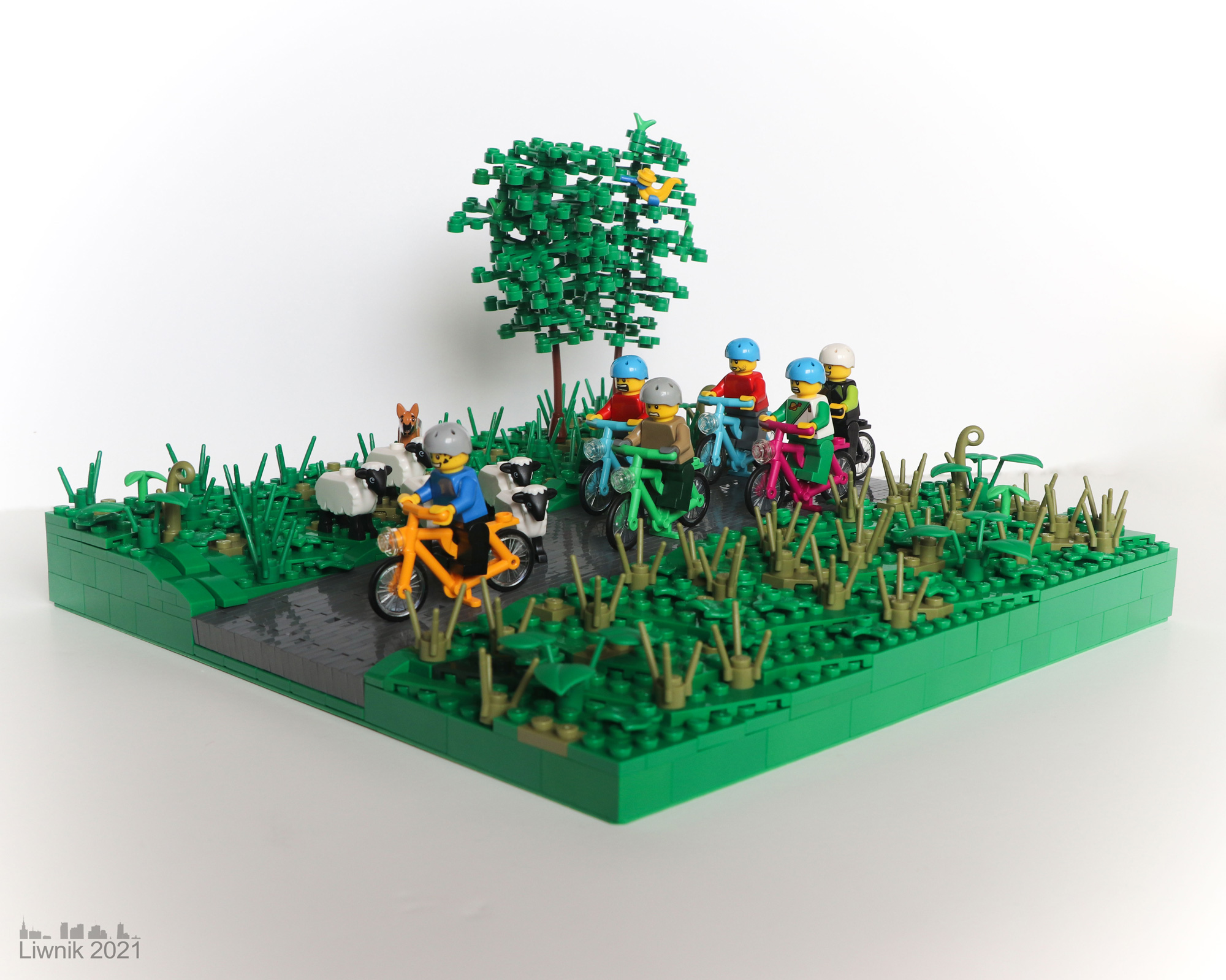 img_6209cs.jpg