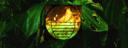 Avatars-and-Banners