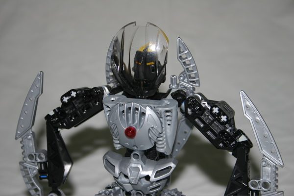 close-up.jpg