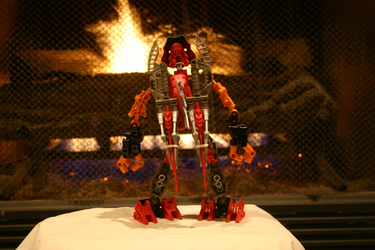 sheathed_backjpg.jpg