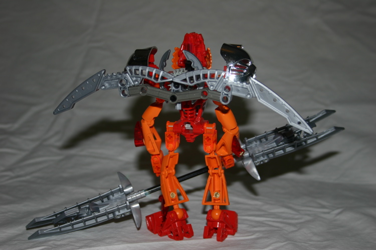 wings_open_back.jpg