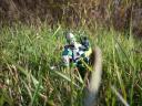 dscn0613.jpg