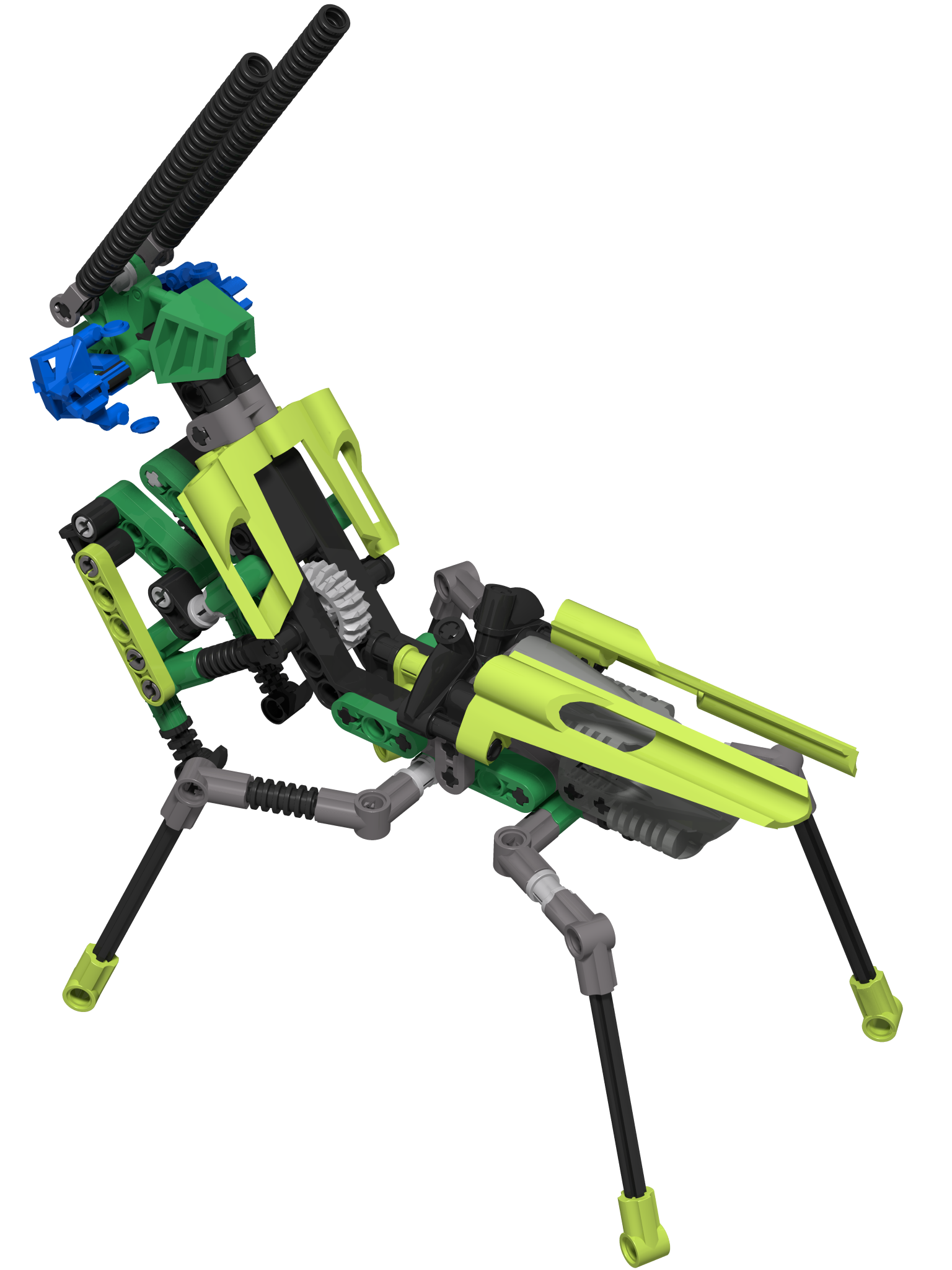 mantis1.png