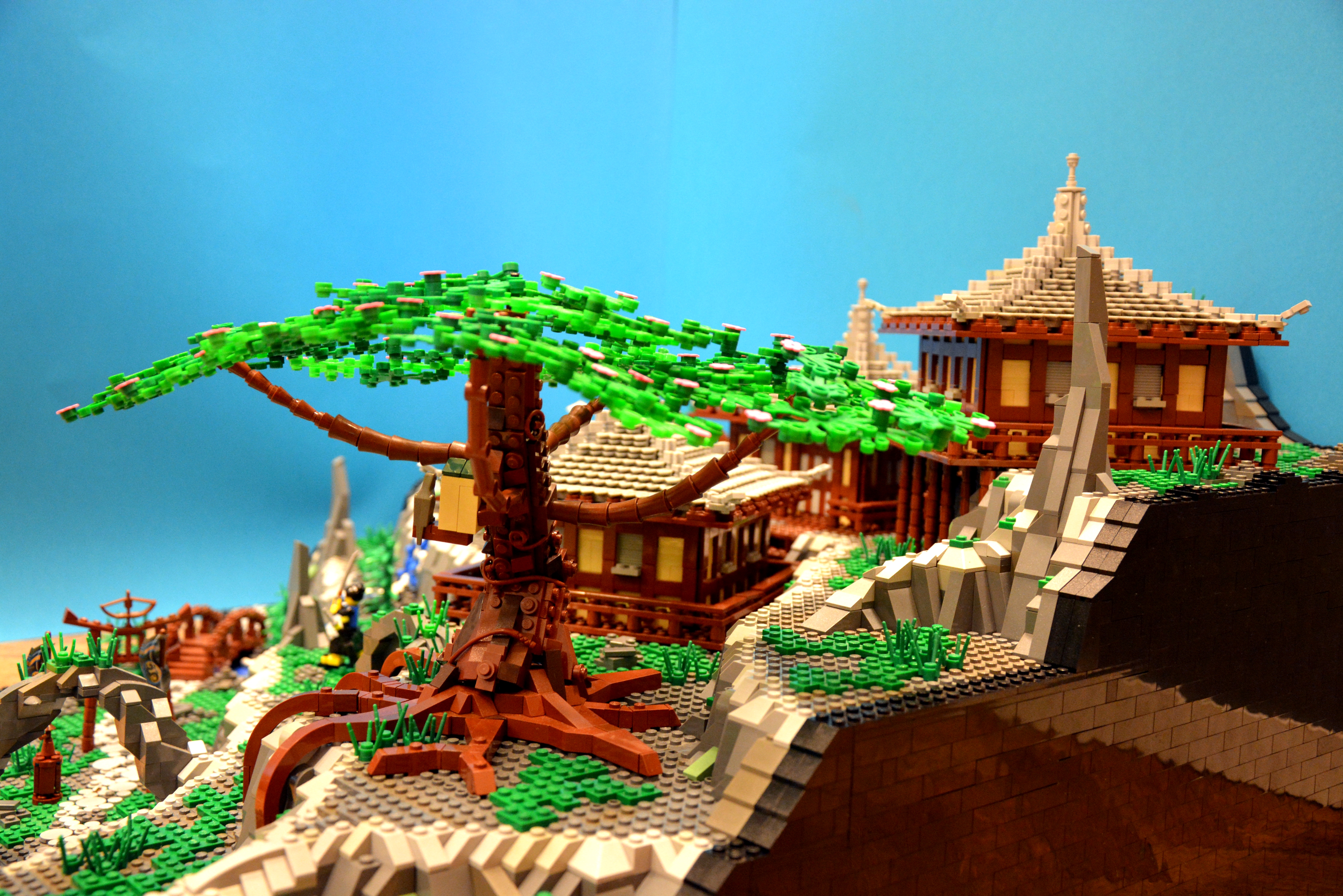 liu_zhang_templex3.jpg