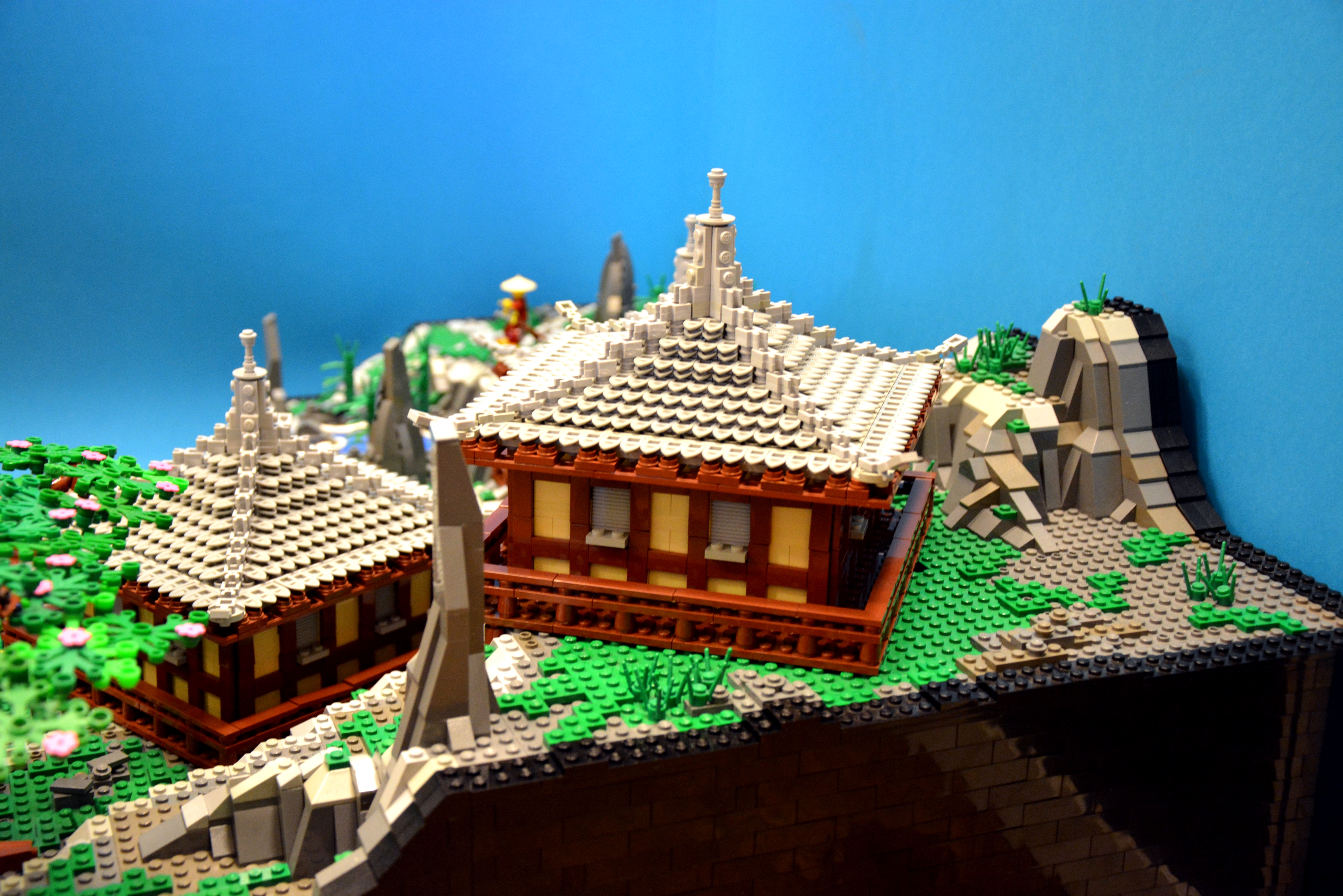 liu_zhang_templex5.jpg