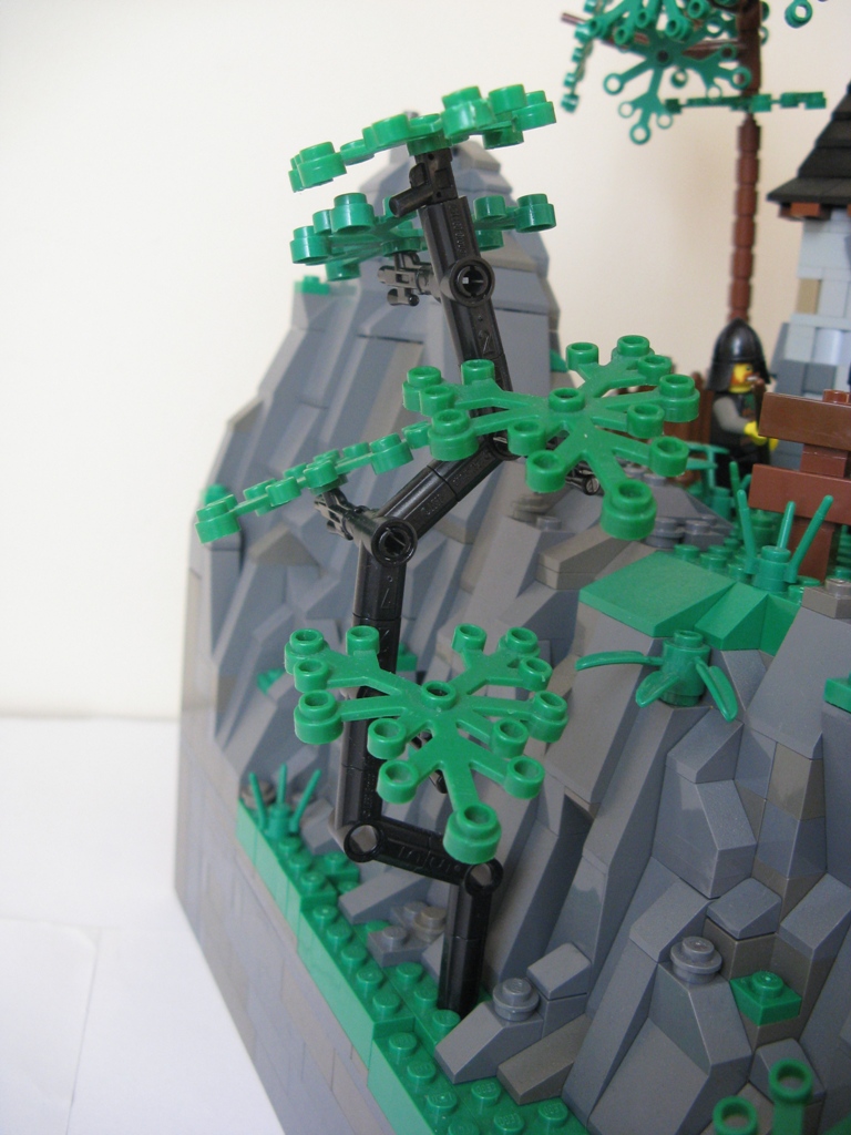img_5584.jpg