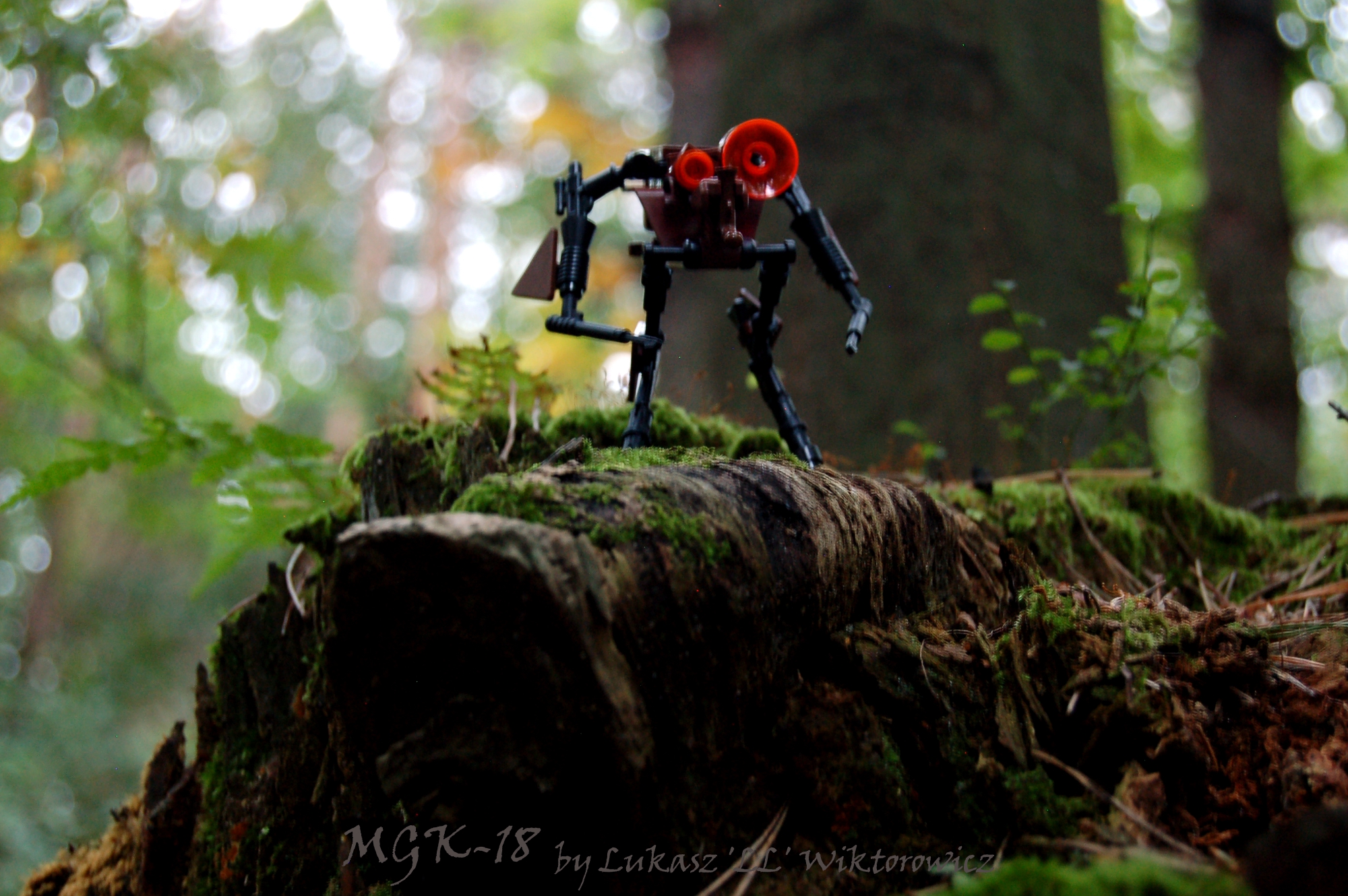 mgk-18photo4.jpg