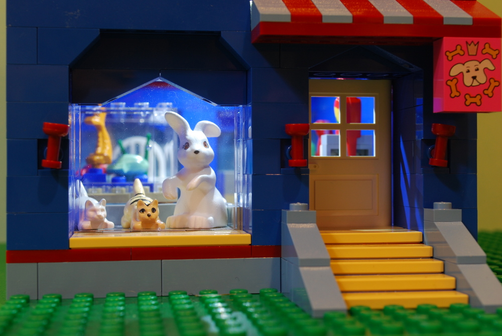 pet_store_light.jpg