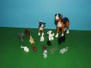dogs_cats_and_rats.jpg
