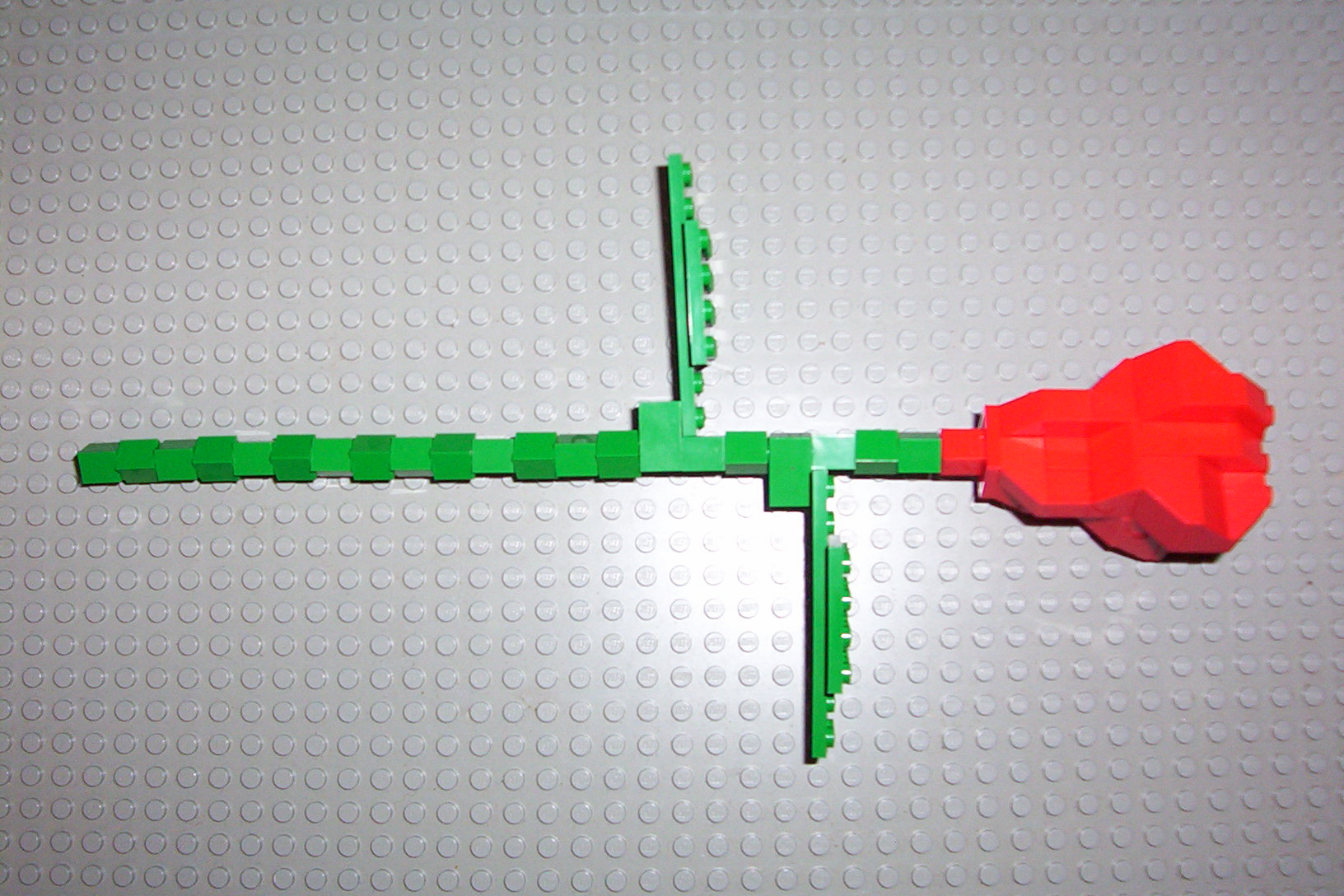 000_0300.jpg