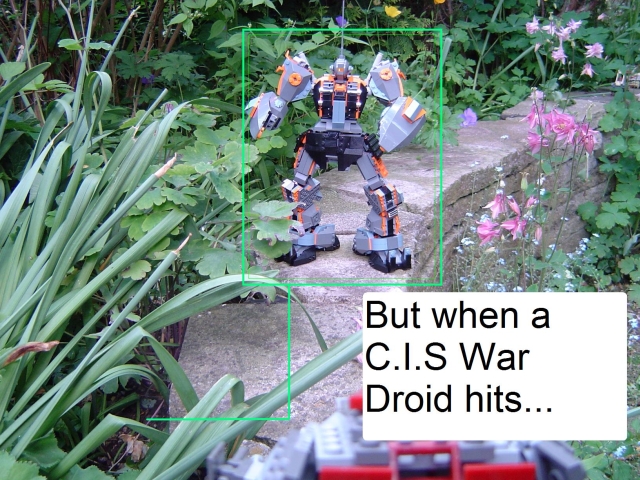 c.jpg