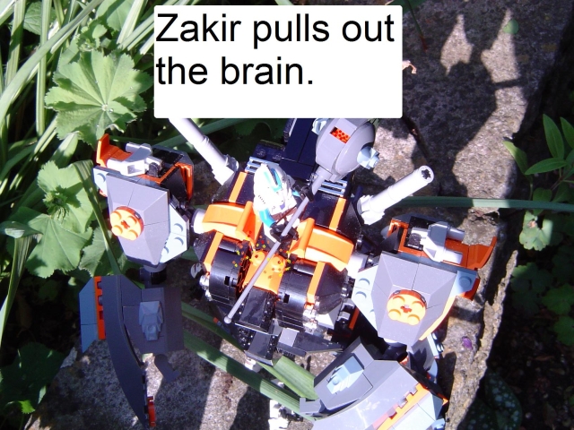 n.jpg