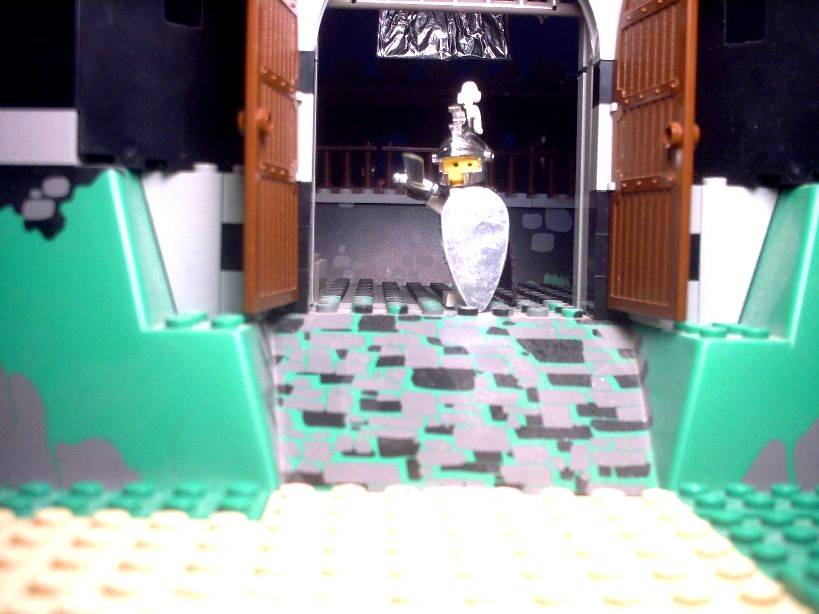 a_lady_defending_the_castle.jpg