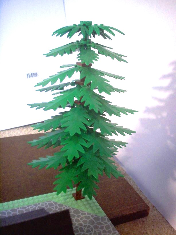 tree.jpg