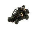 buggysmall.jpg