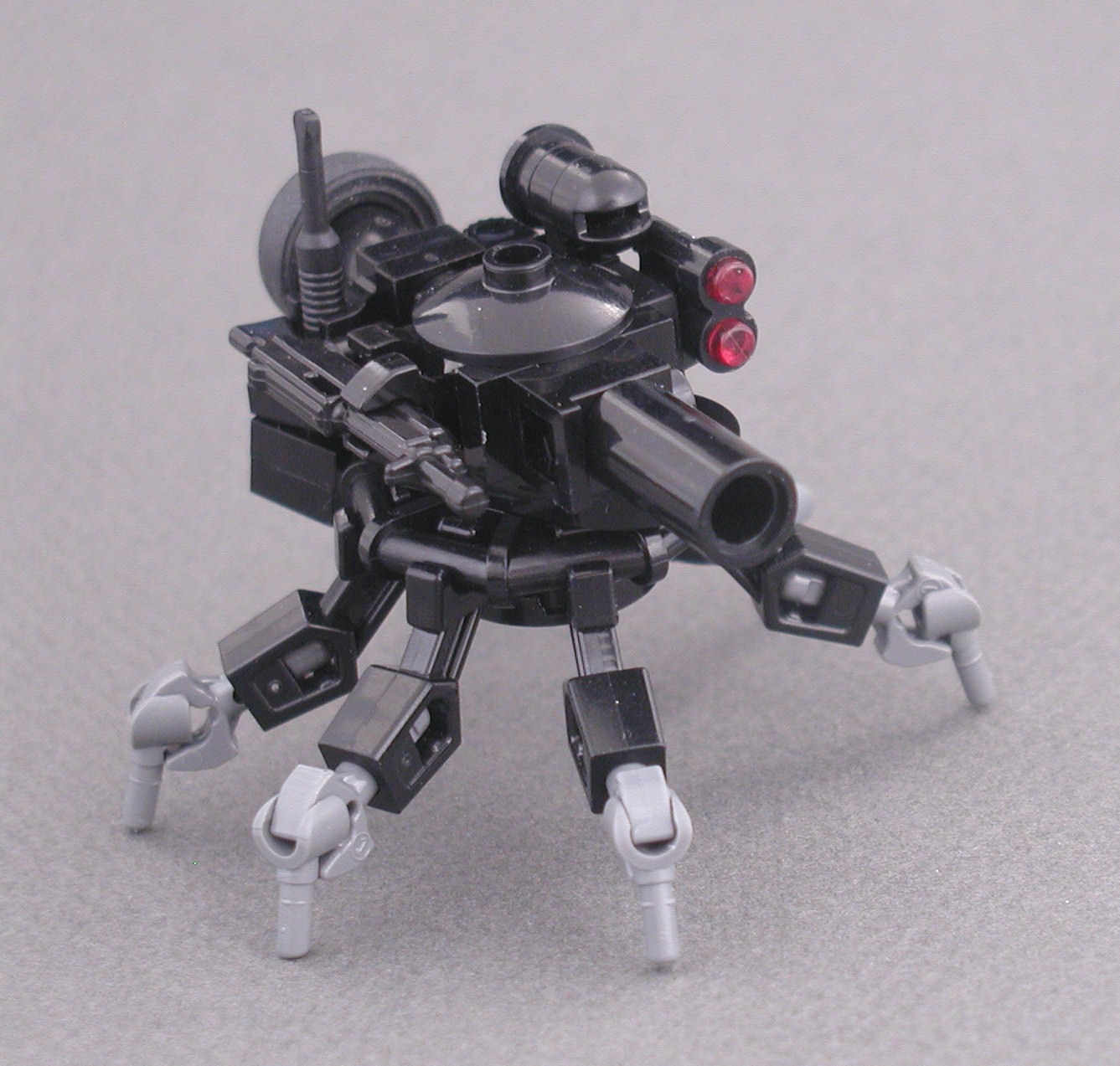 argiope_ugv1_cropped.jpg