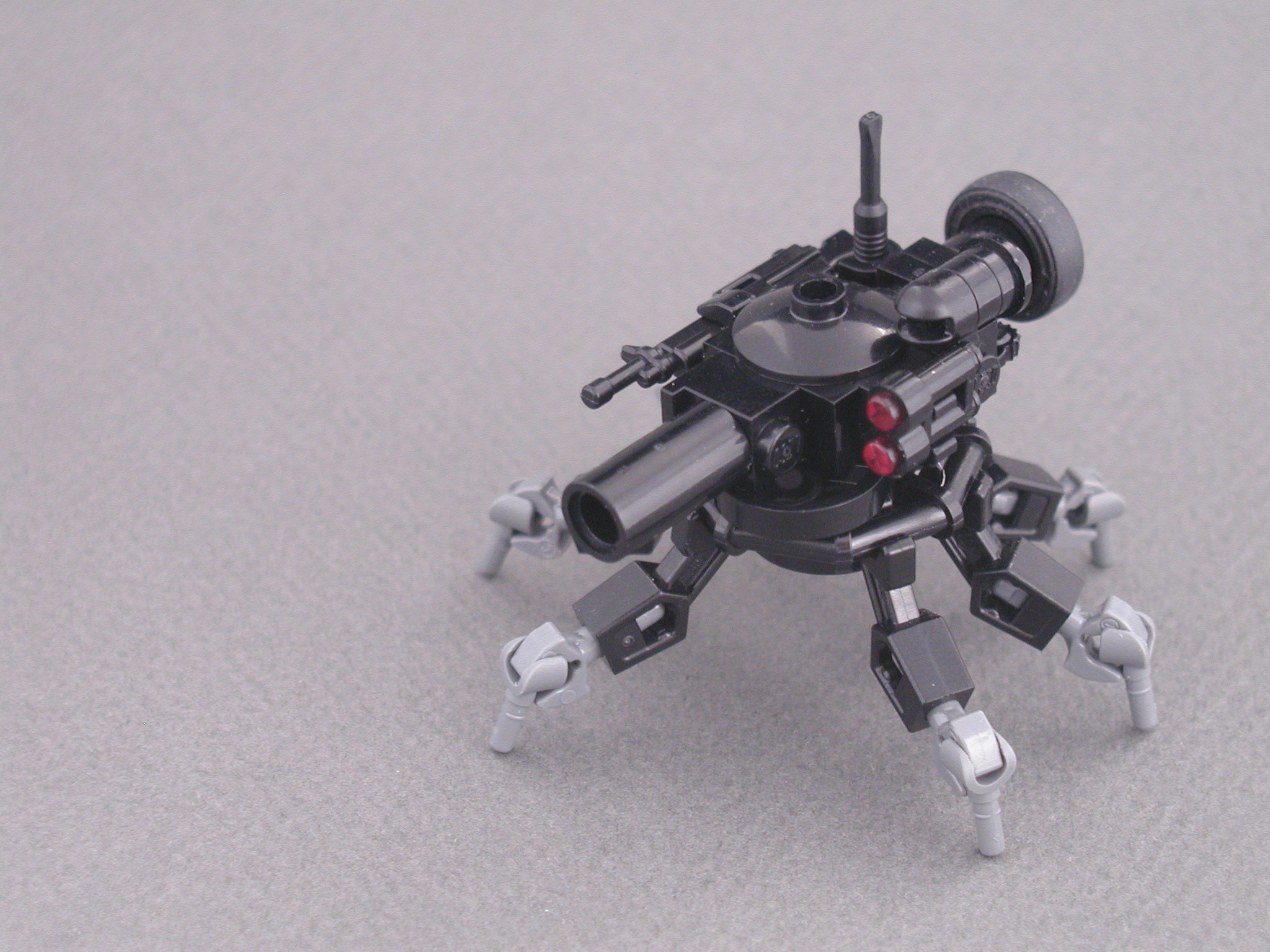 argiope_ugv3.jpg