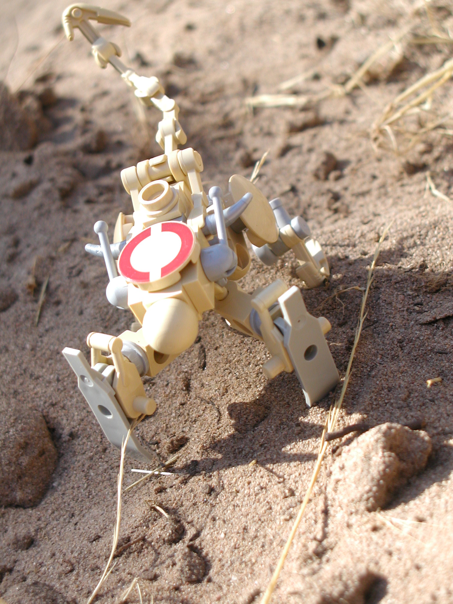 sand_stalker1.jpg