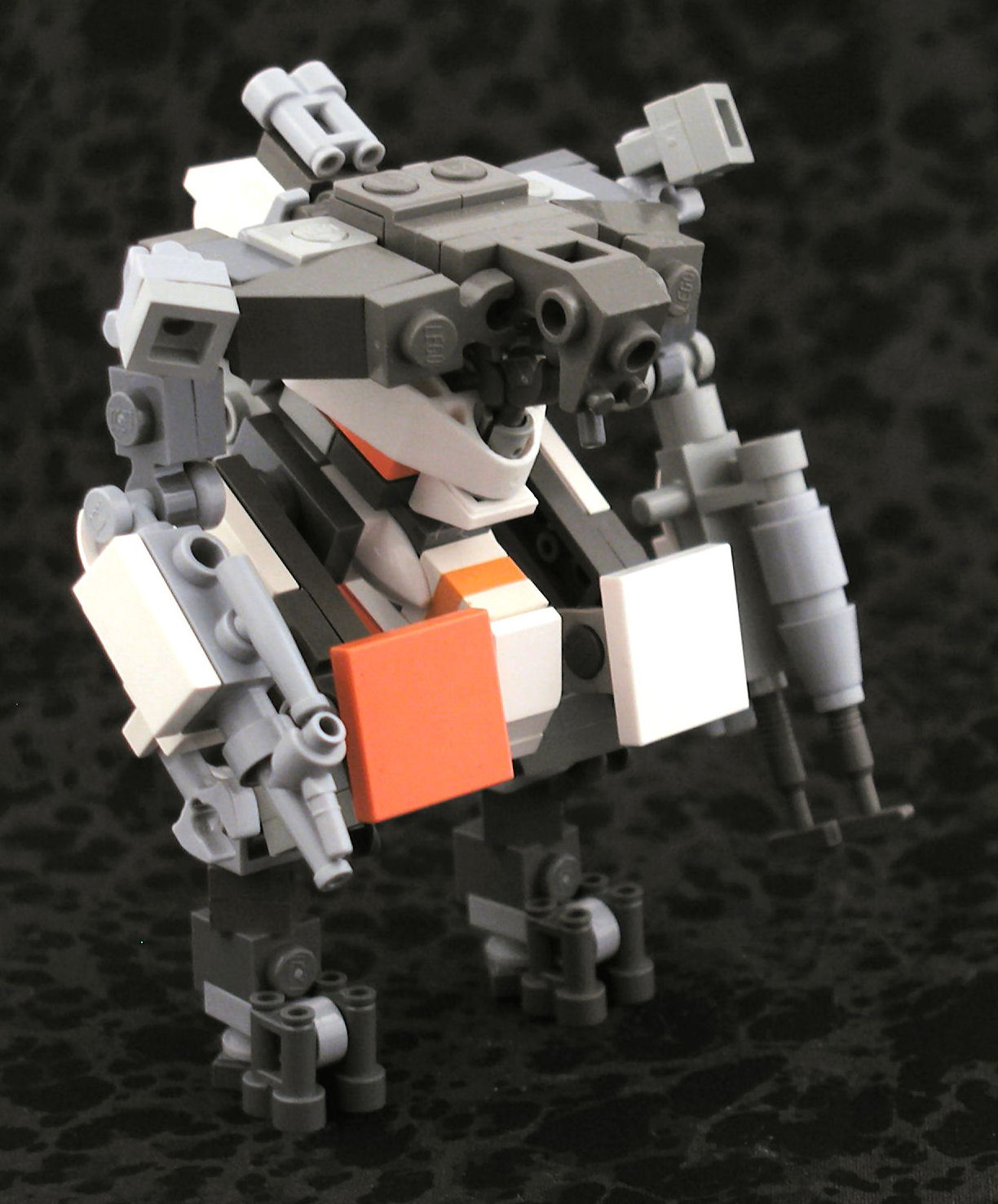 prawn1.jpg