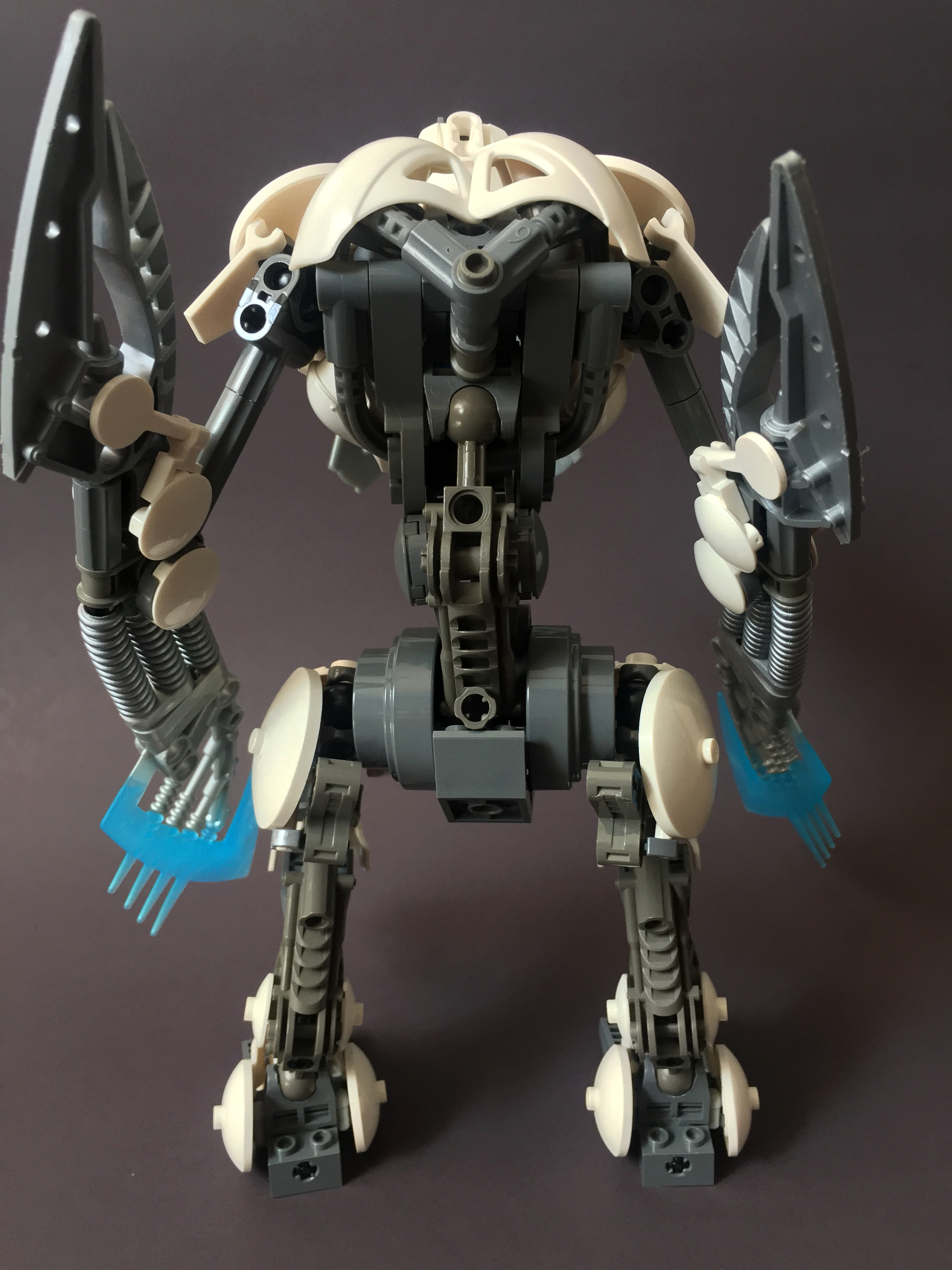 back.jpg
