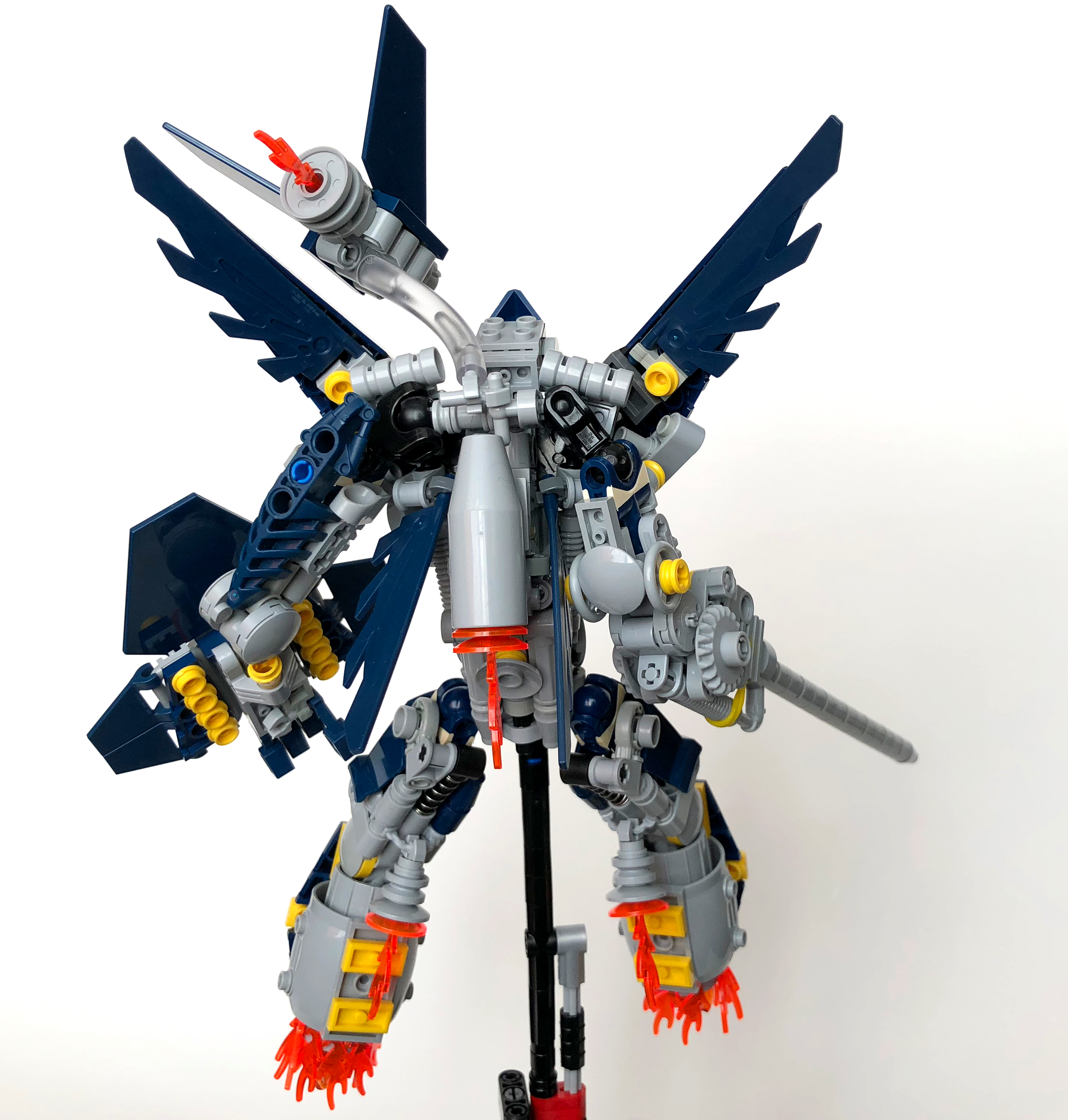 back.jpg