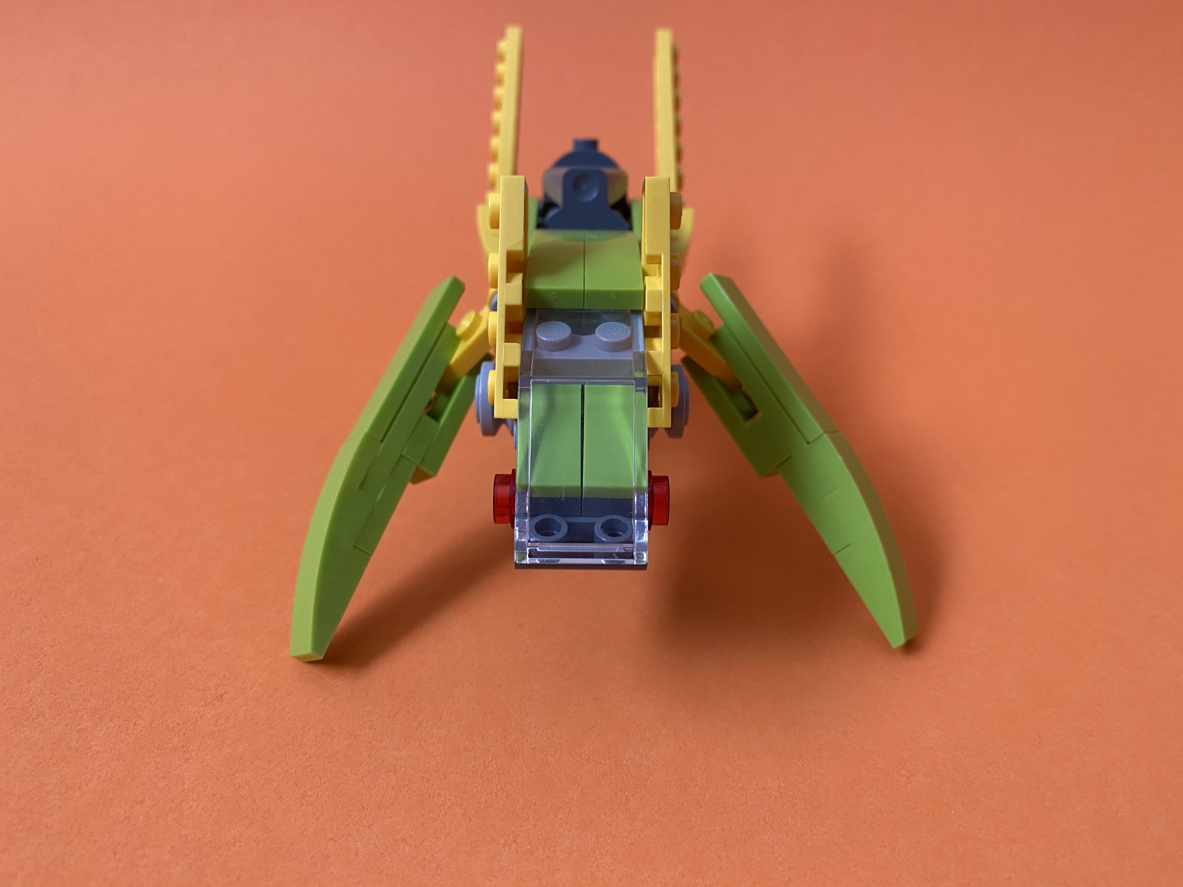 skitter3.jpeg