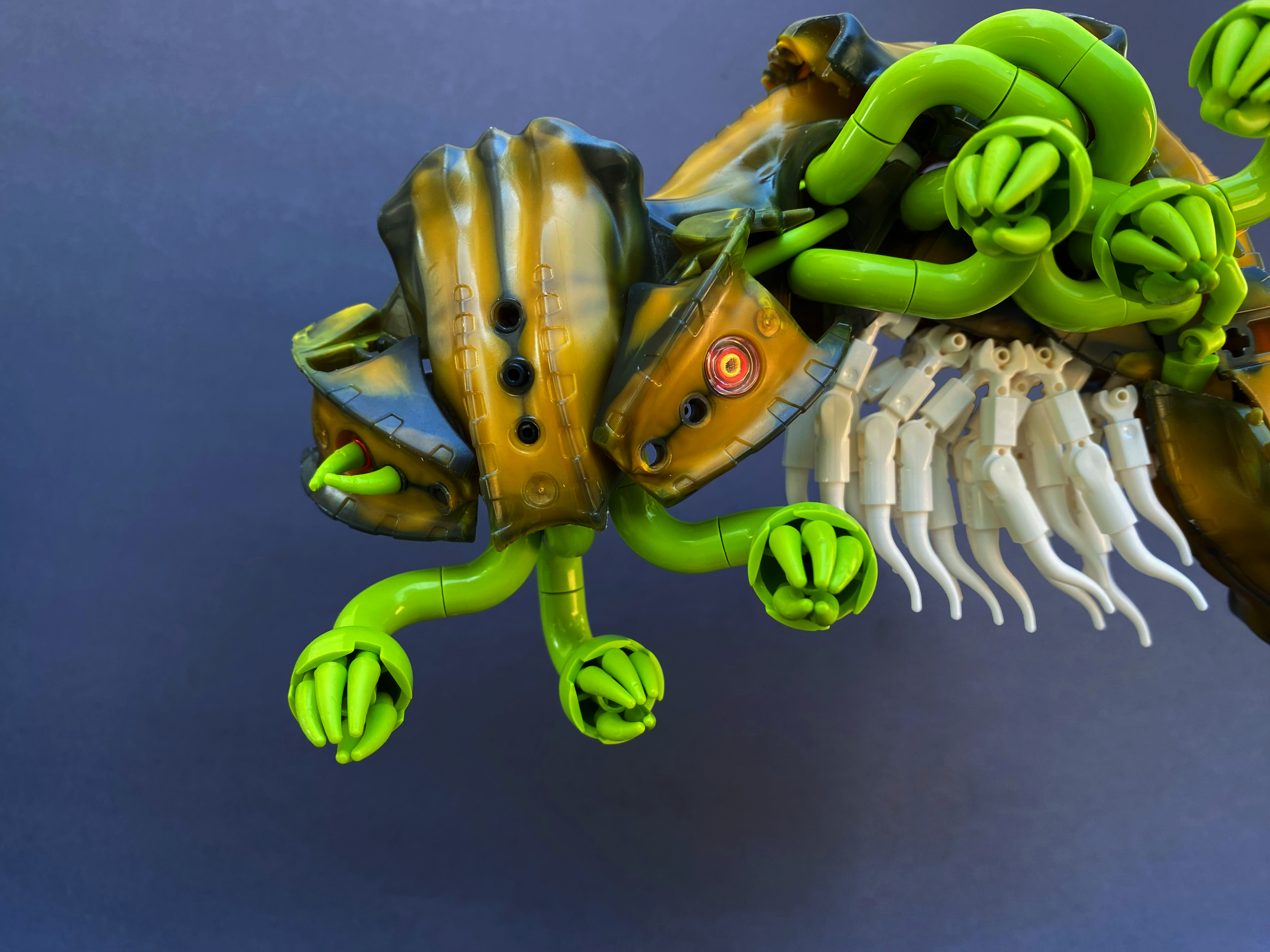IMG_5437.jpg