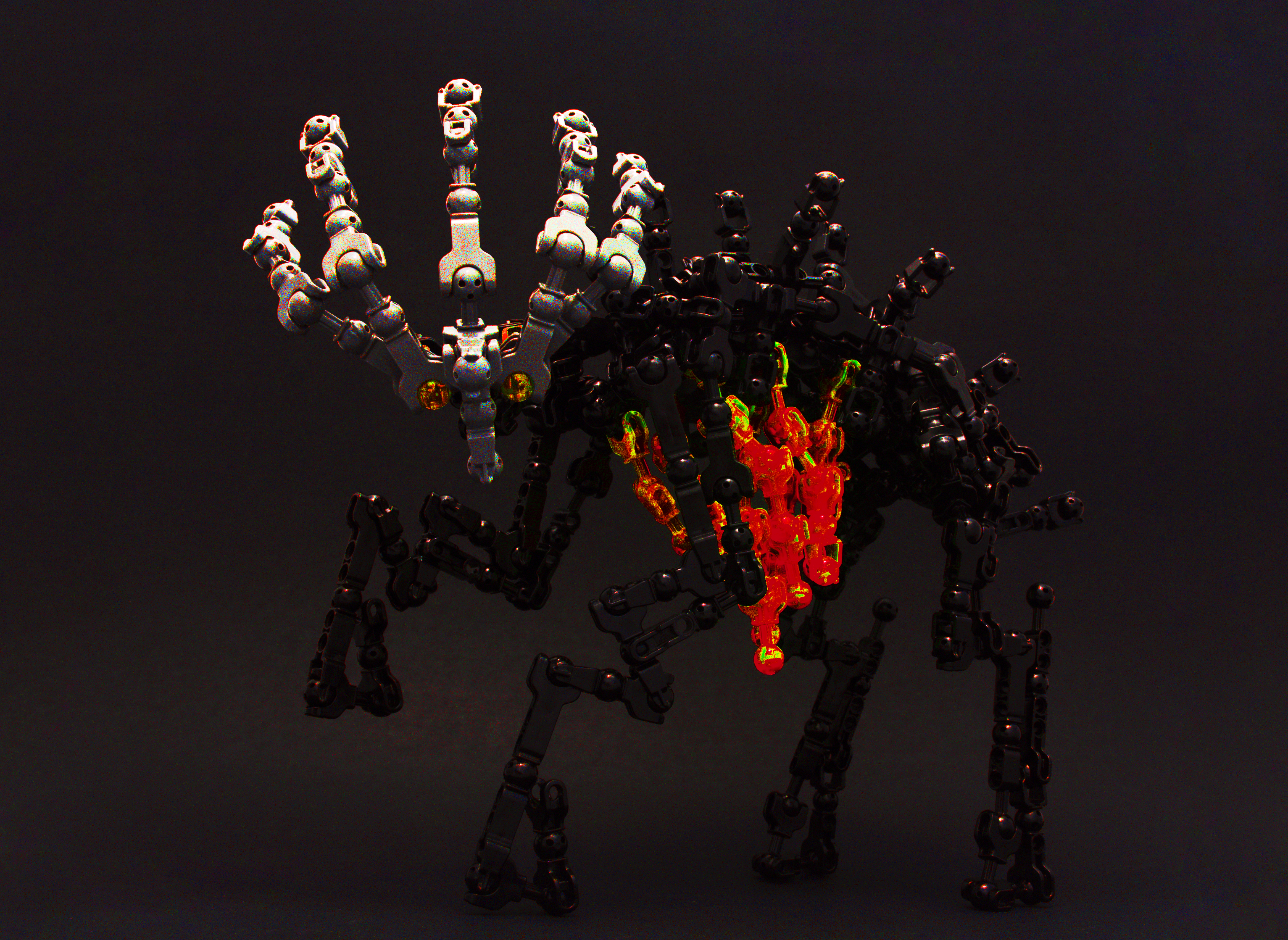 bonedeercolor.jpg