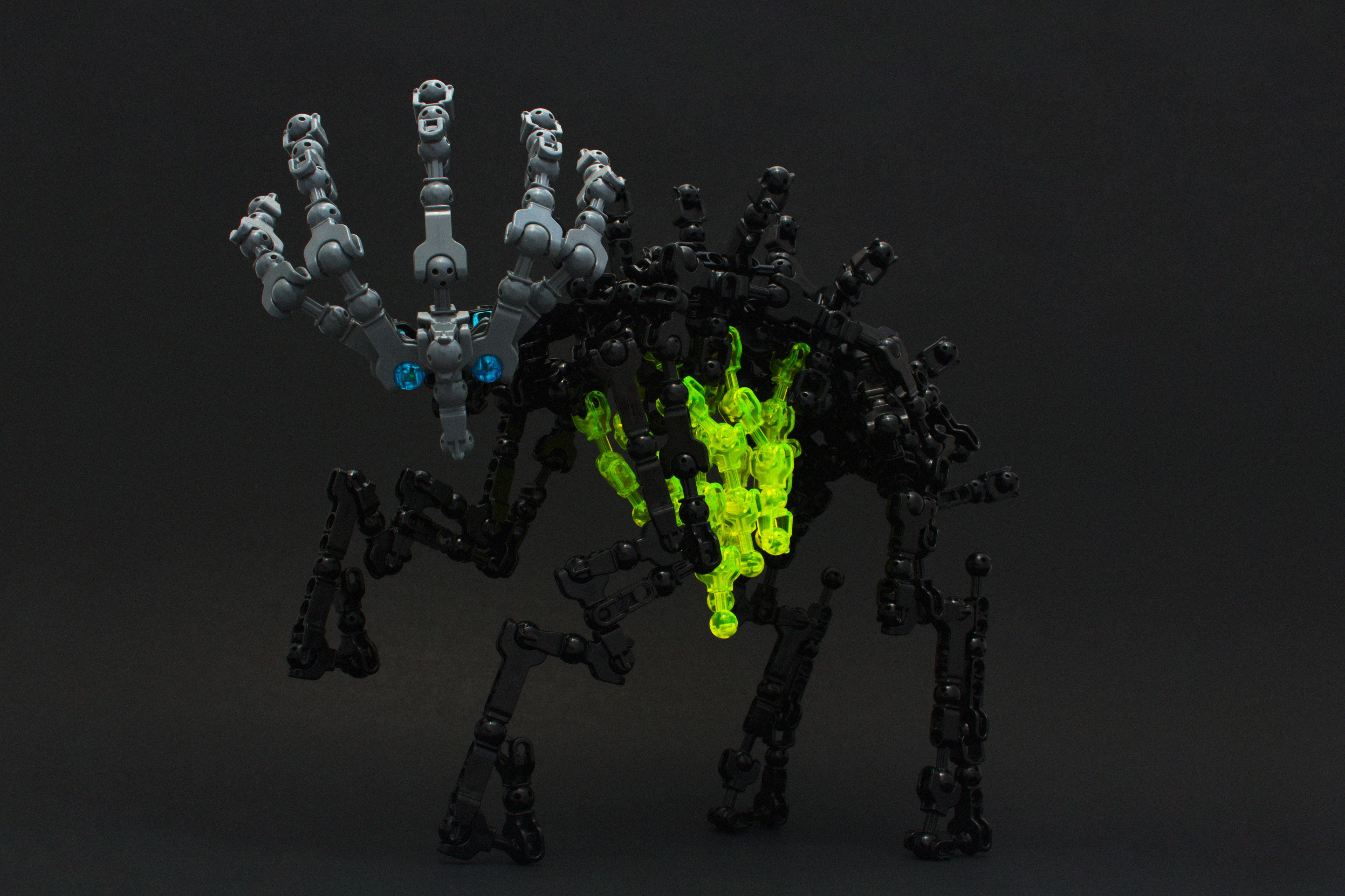 bonedeermain2.jpg