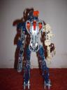 2011_bionicle_004.jpg