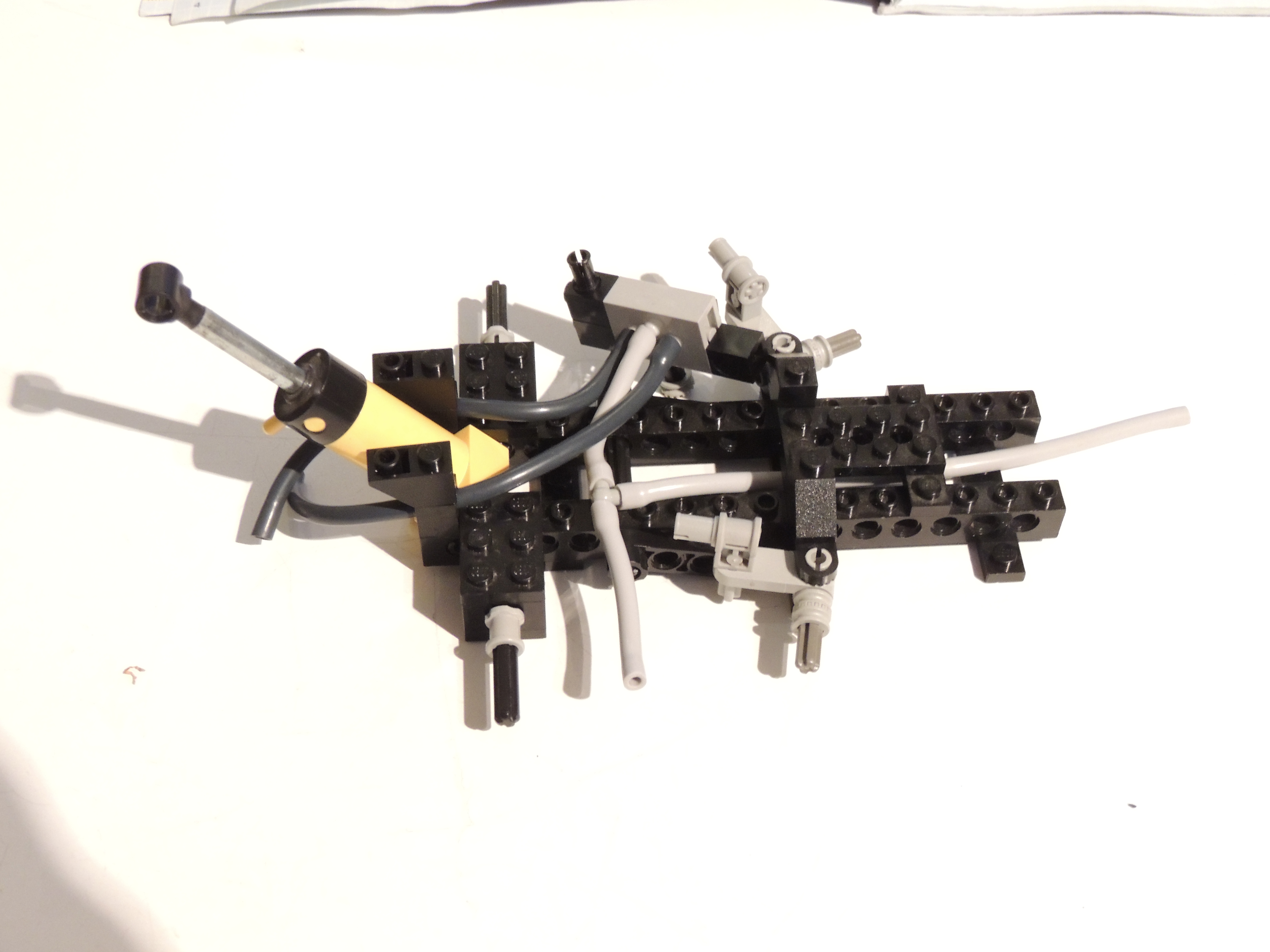 dscn2809.jpg