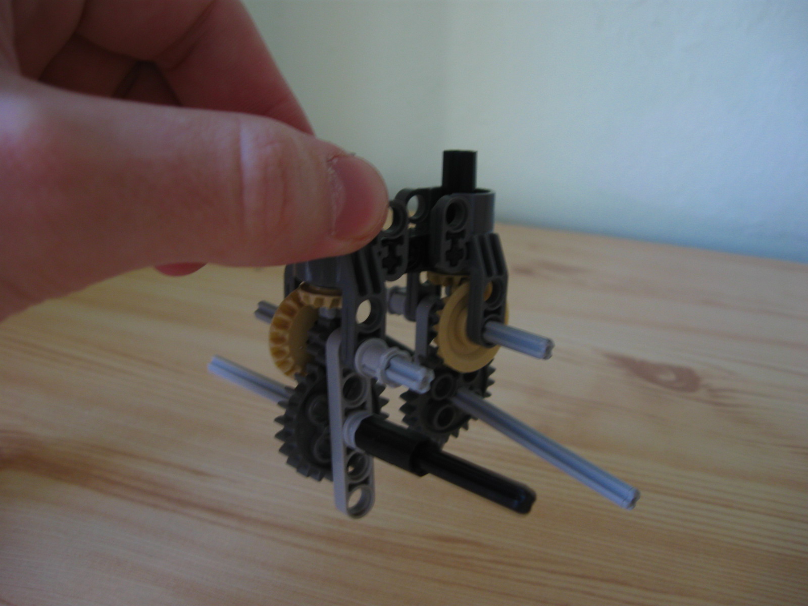 pelican009.jpg
