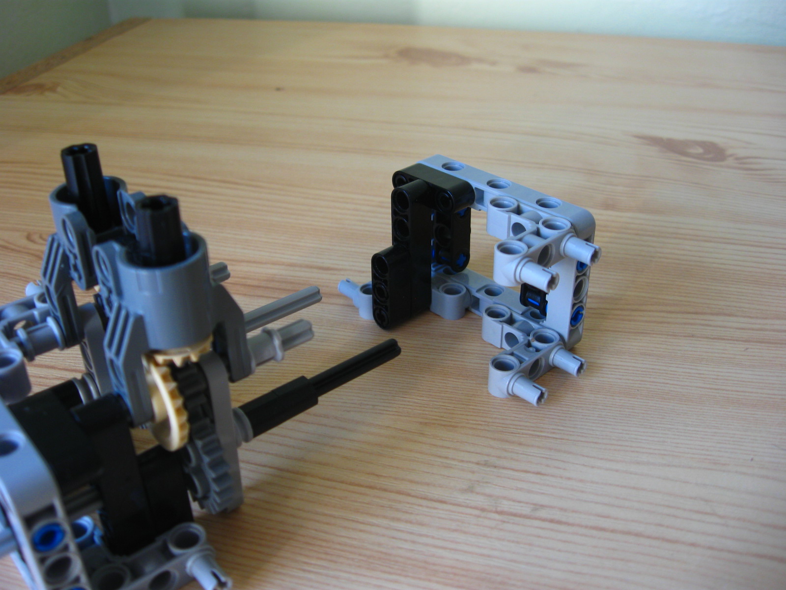 pelican014.jpg