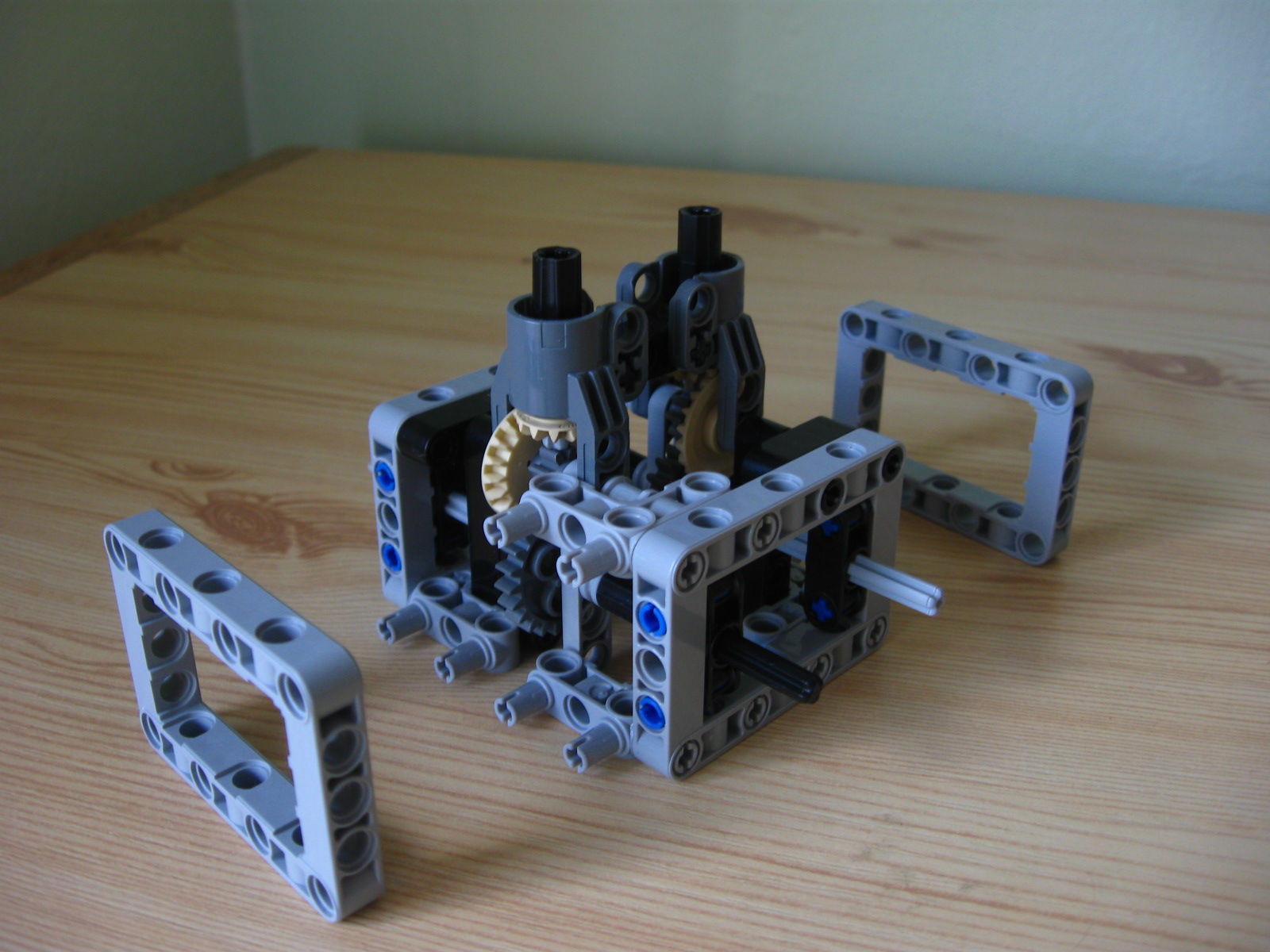 pelican015.jpg