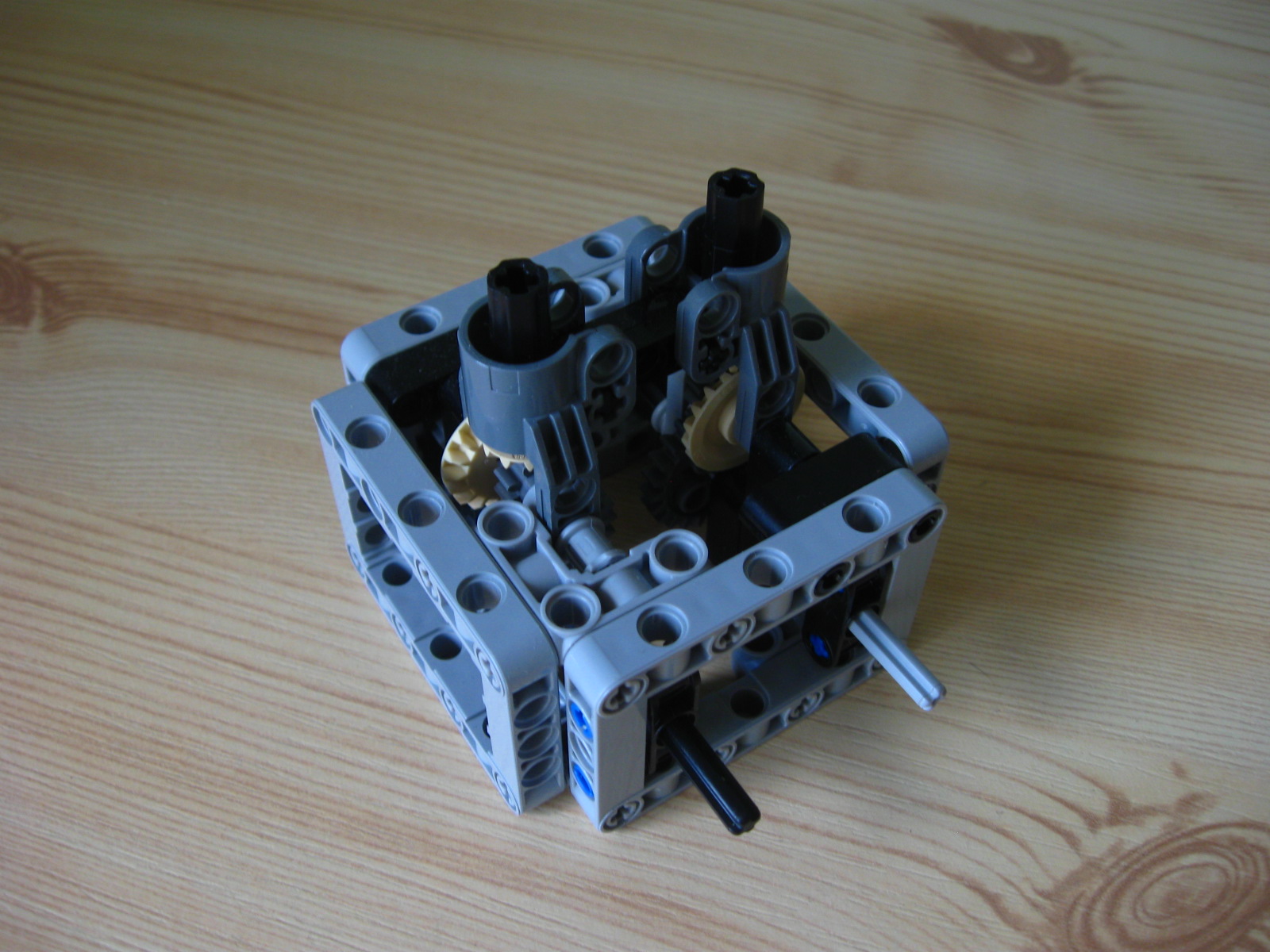 pelican016.jpg