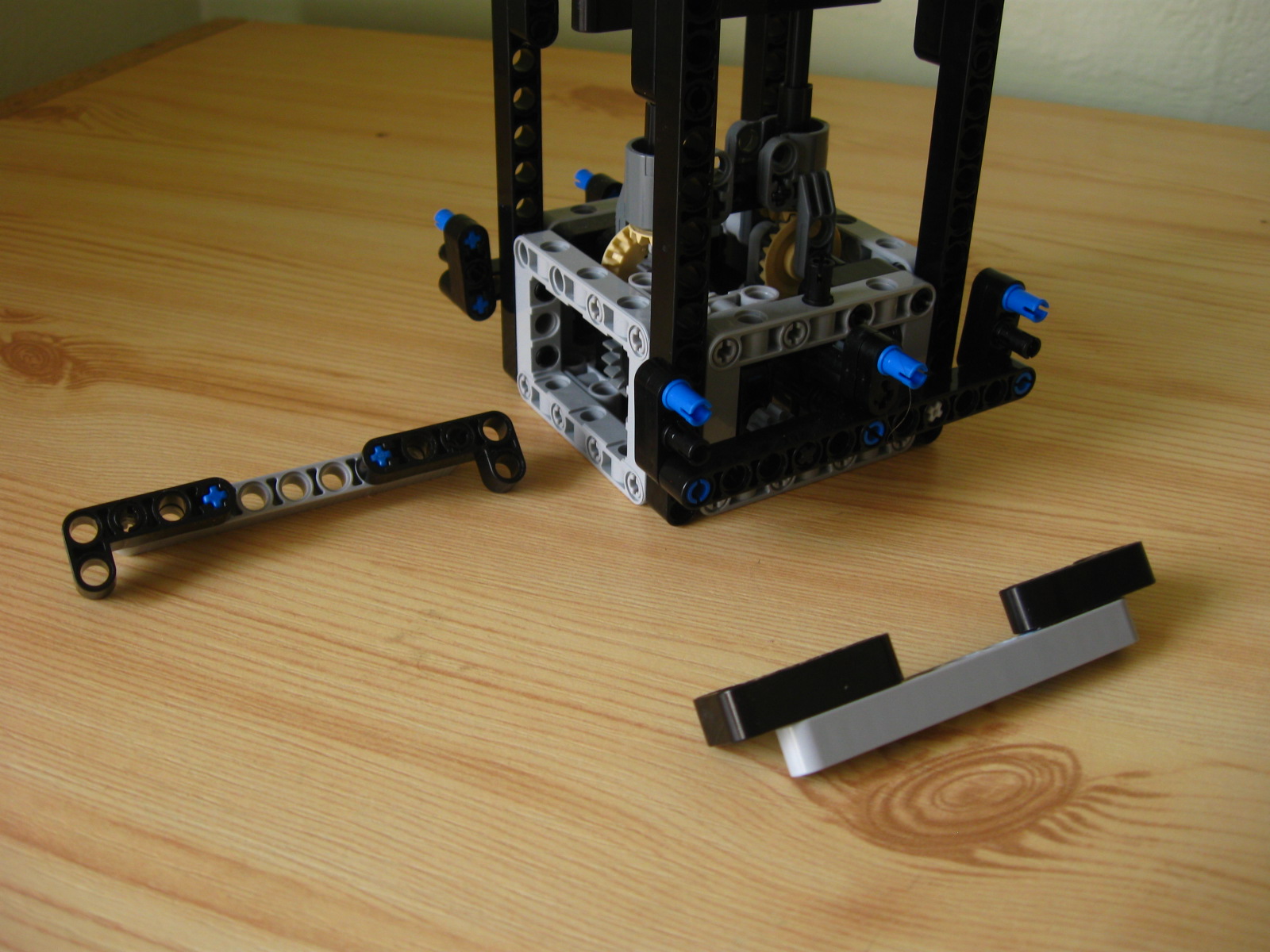 pelican030.jpg