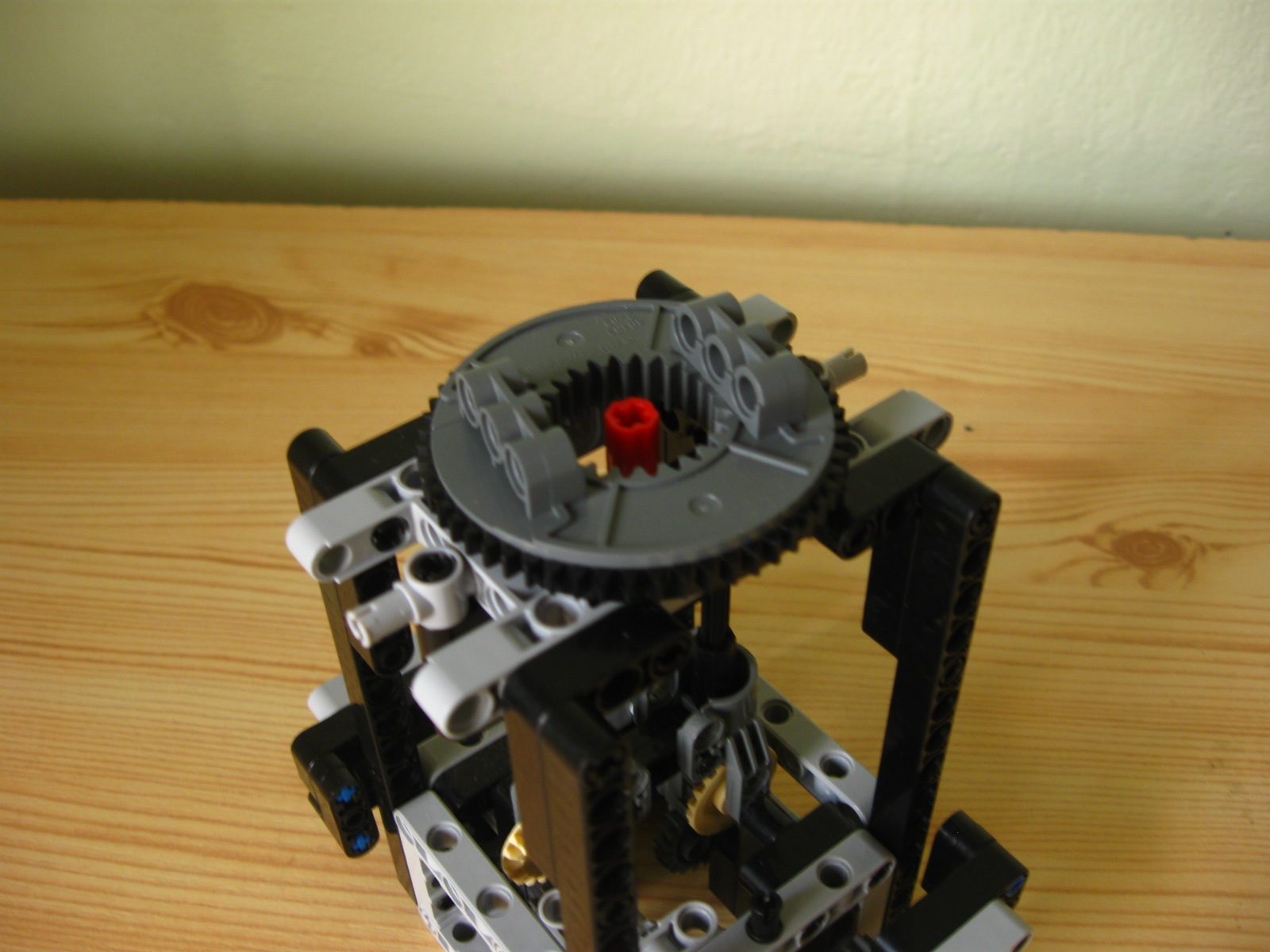 pelican033.jpg