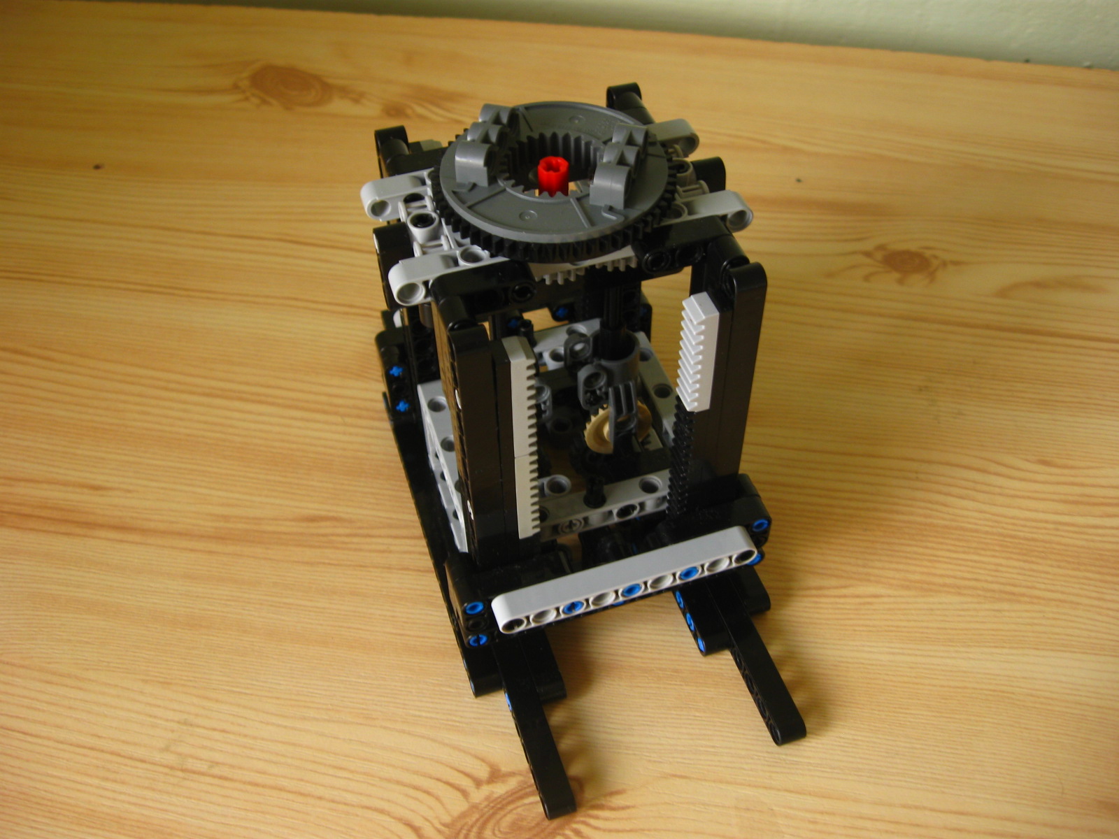 pelican039.jpg
