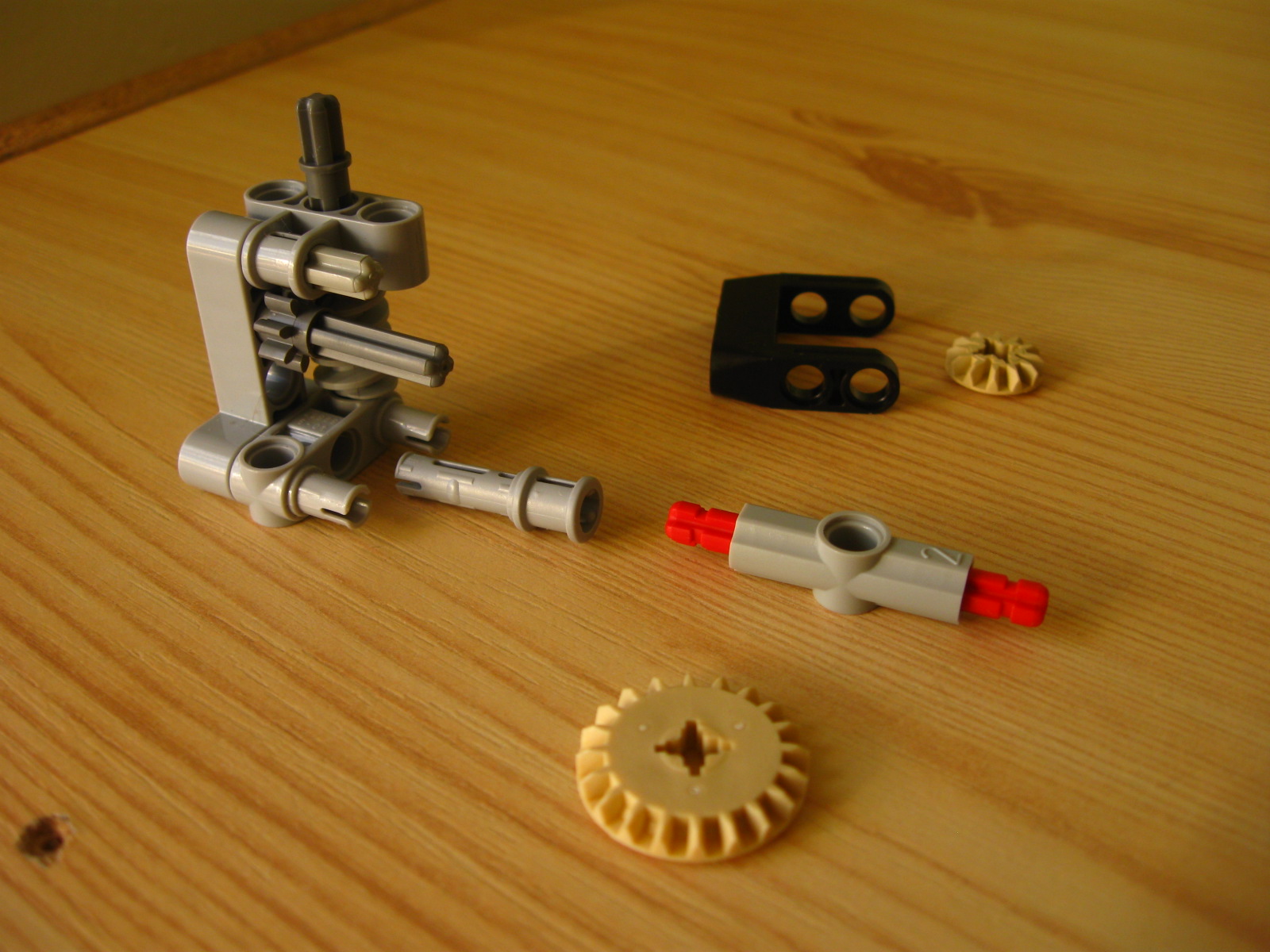 pelican059.jpg