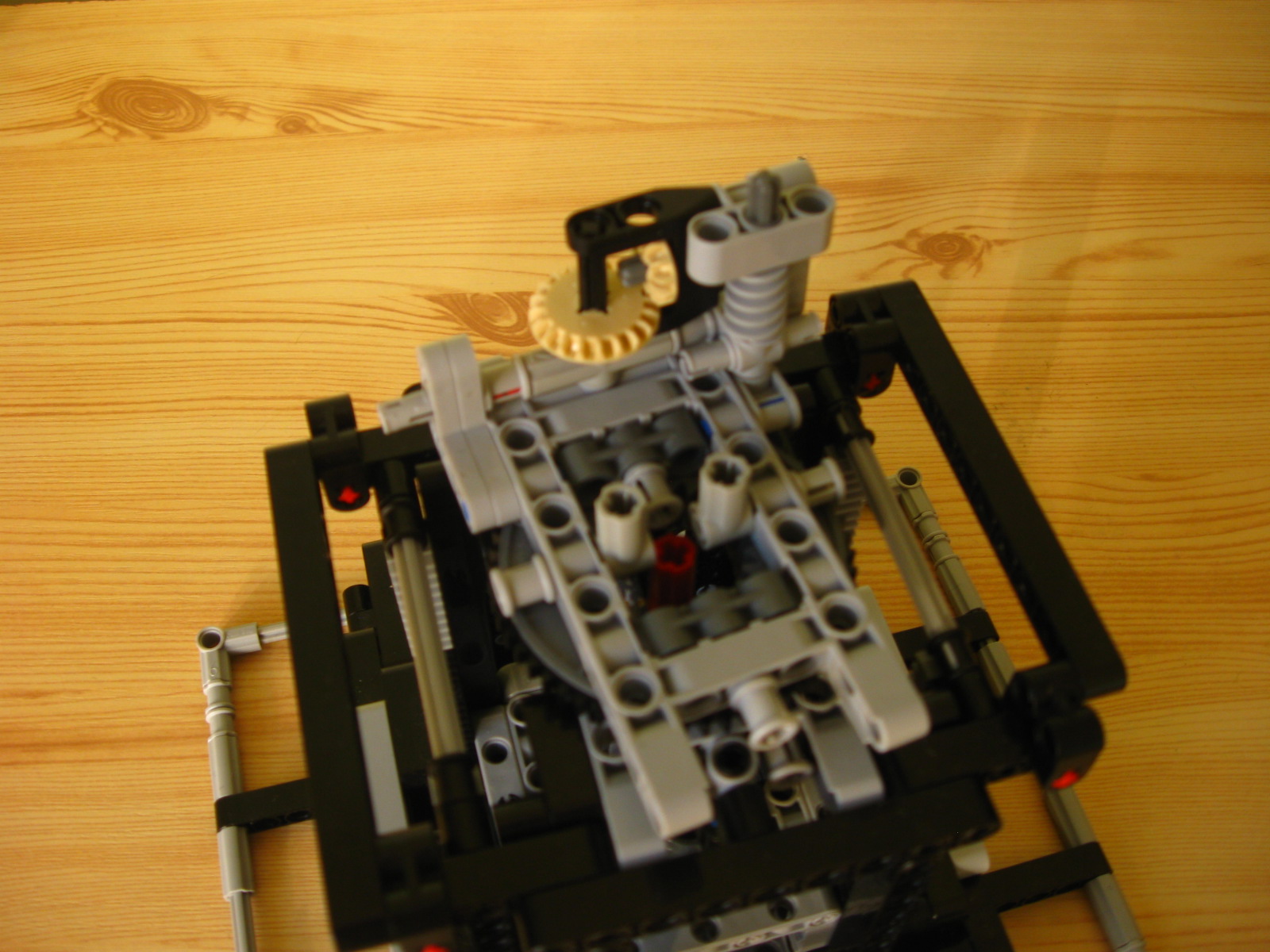 pelican063.jpg