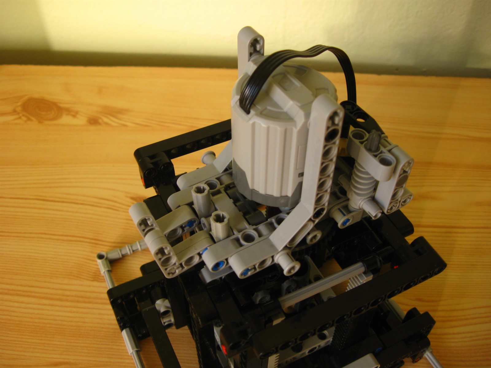 pelican067.jpg